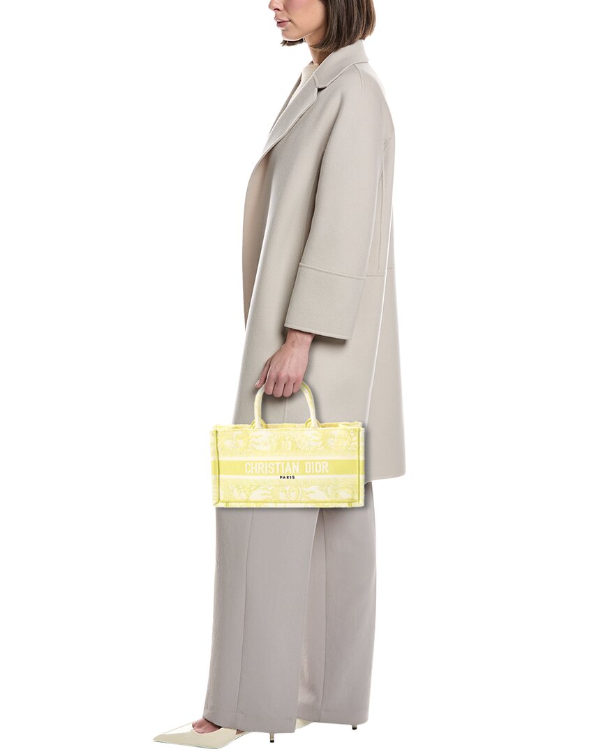 Dior Mini Canvas Book Tote