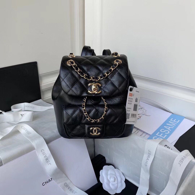 Chanel Luxury Handbag Style 160