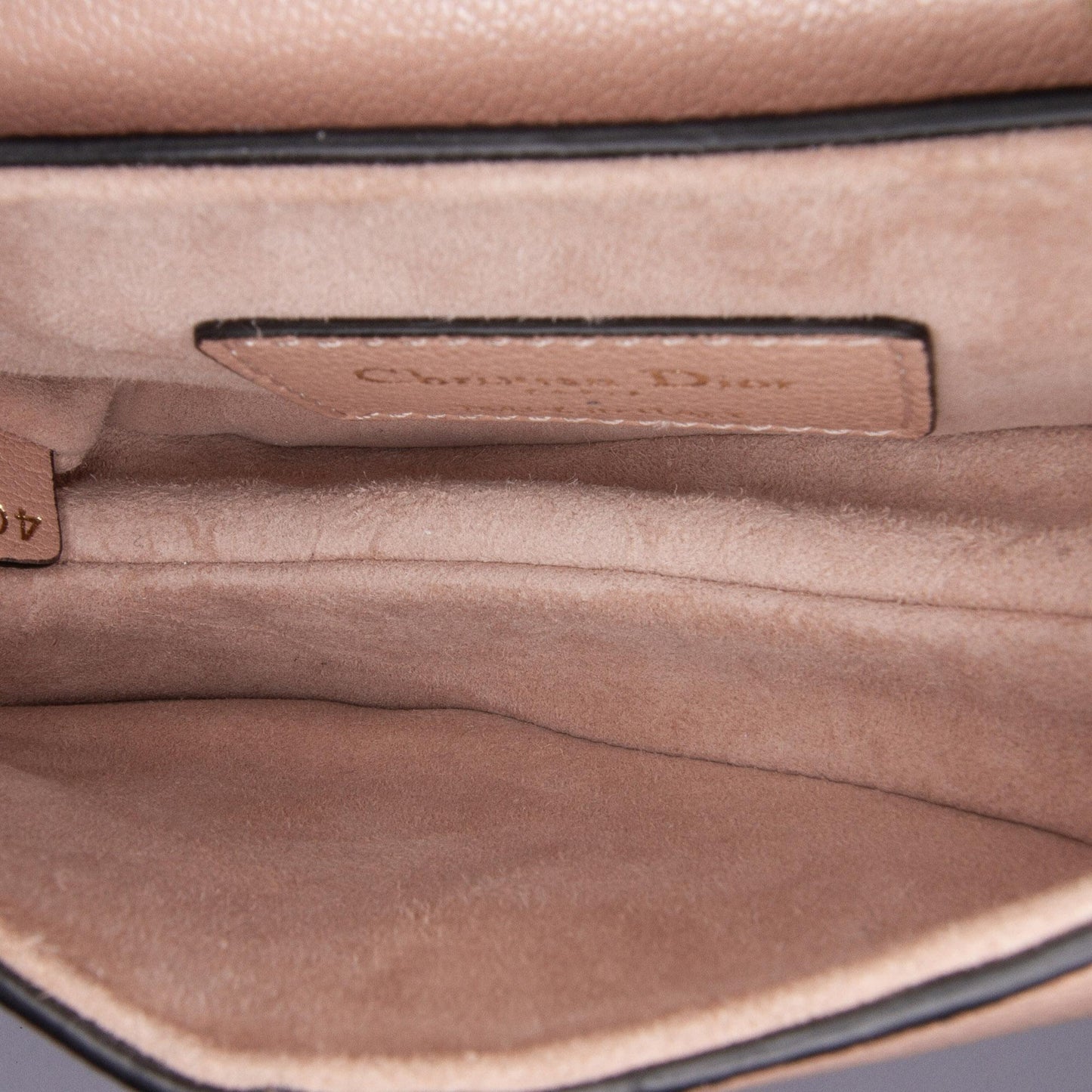 Dior Micro Goatskin Saddle