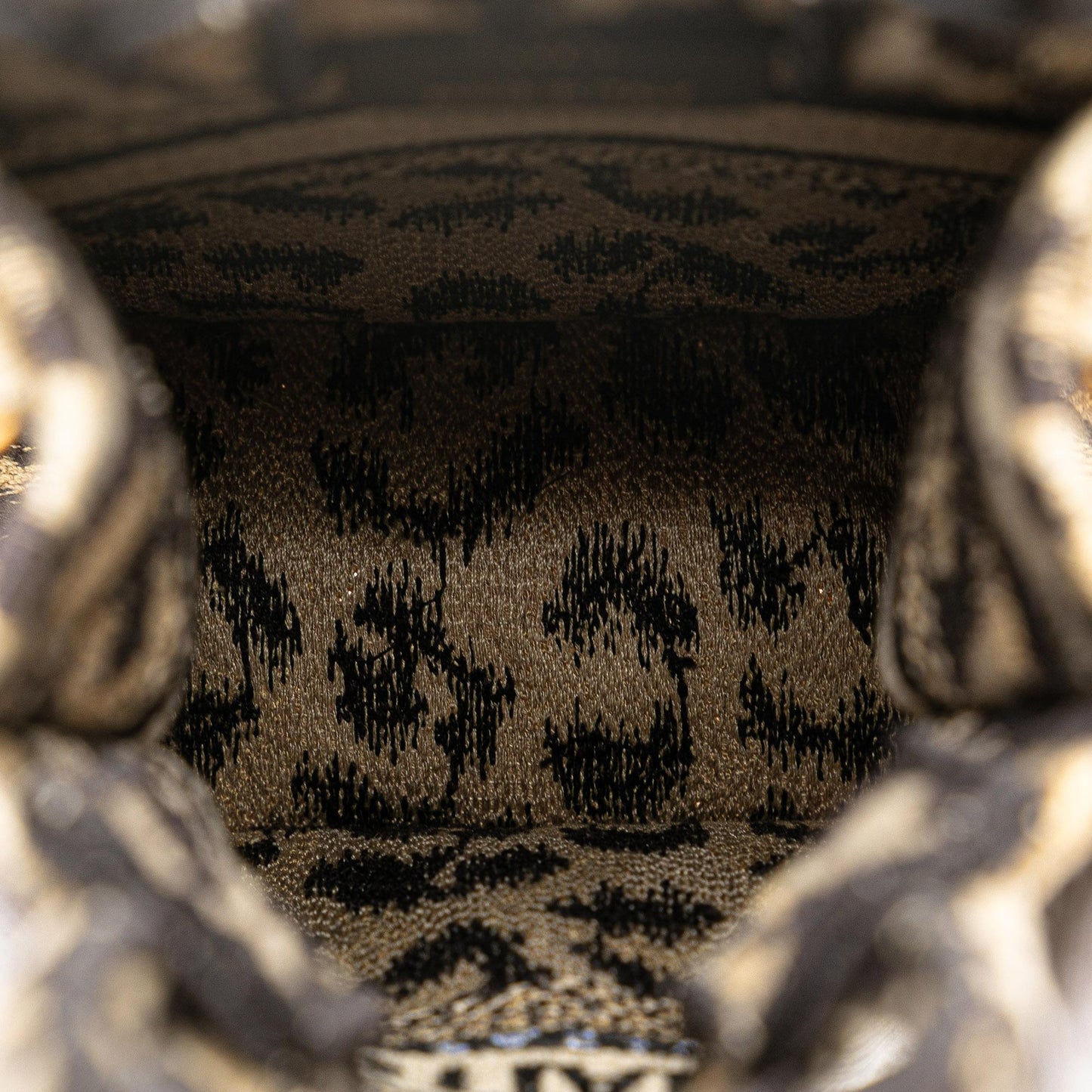 Dior Mizza Mini Embroidered Canvas Leopard Vertical Book Tote
