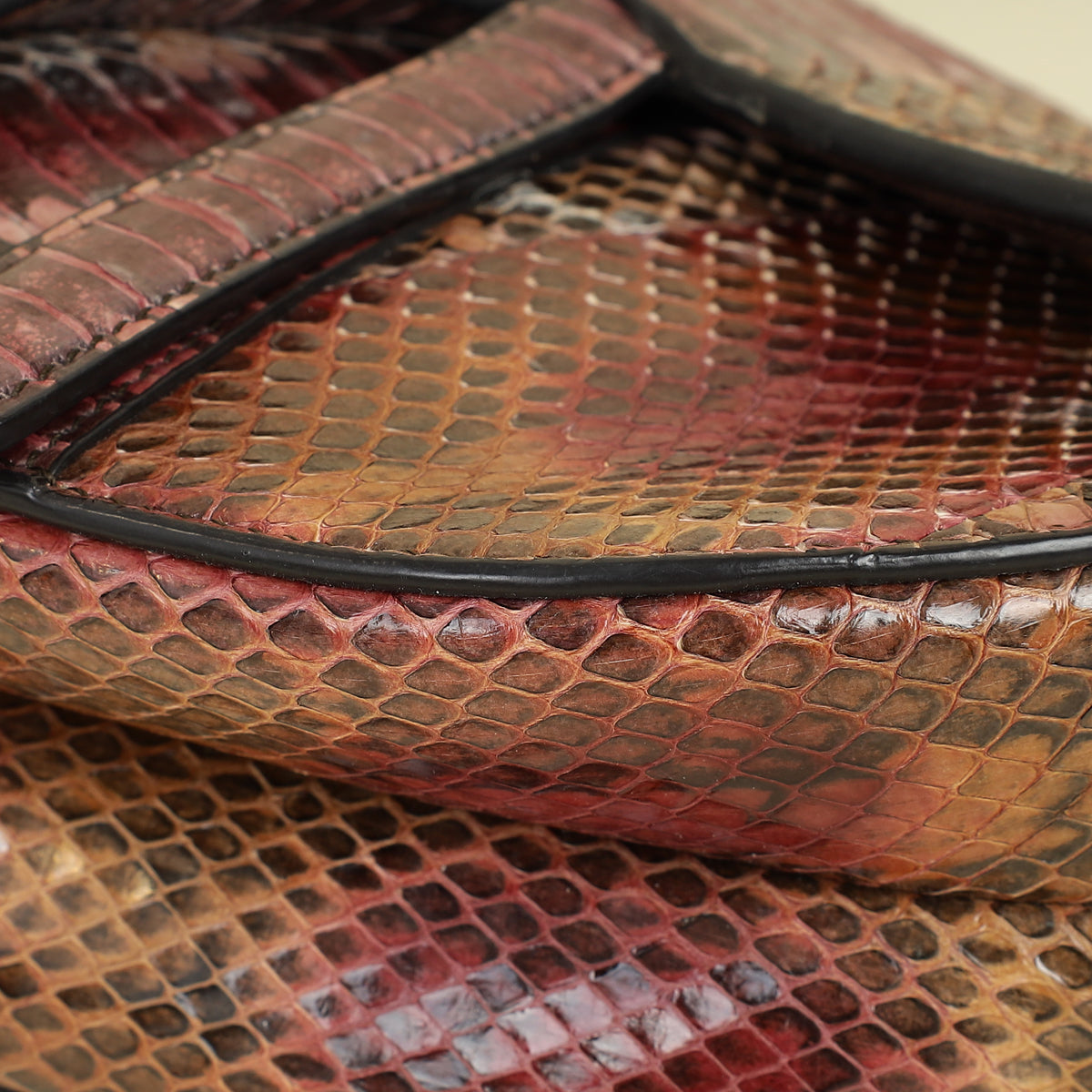 Christian Dior Multicolor Saddle Python Medium Bag