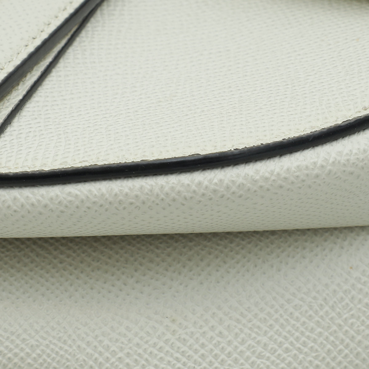 Dior Saddle Leather Crossbody Style 47