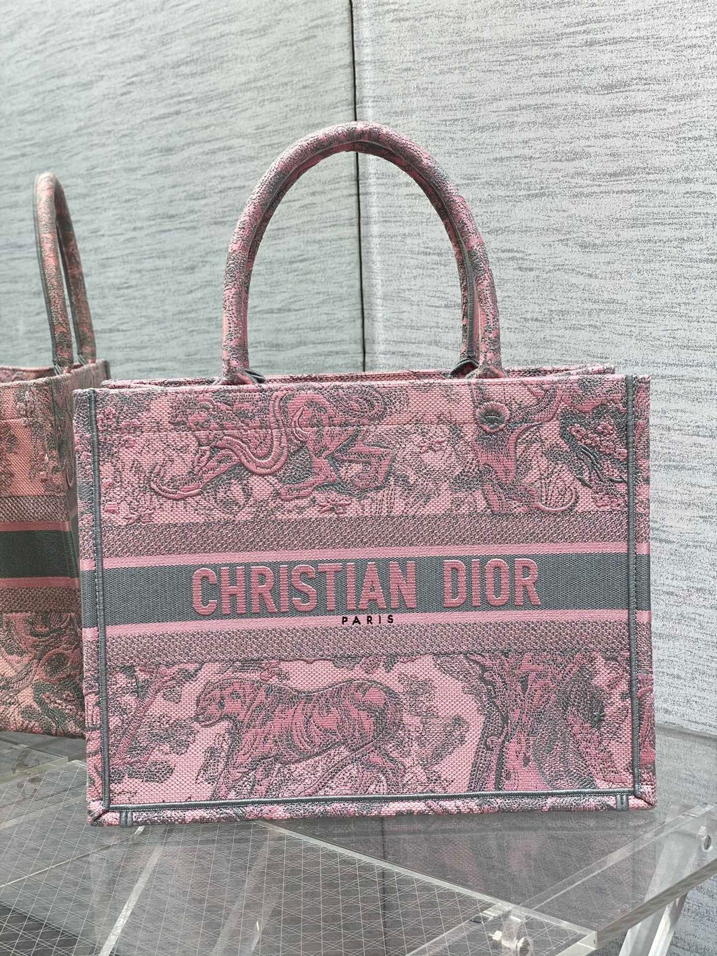 Dior Book Tote Tote Bag