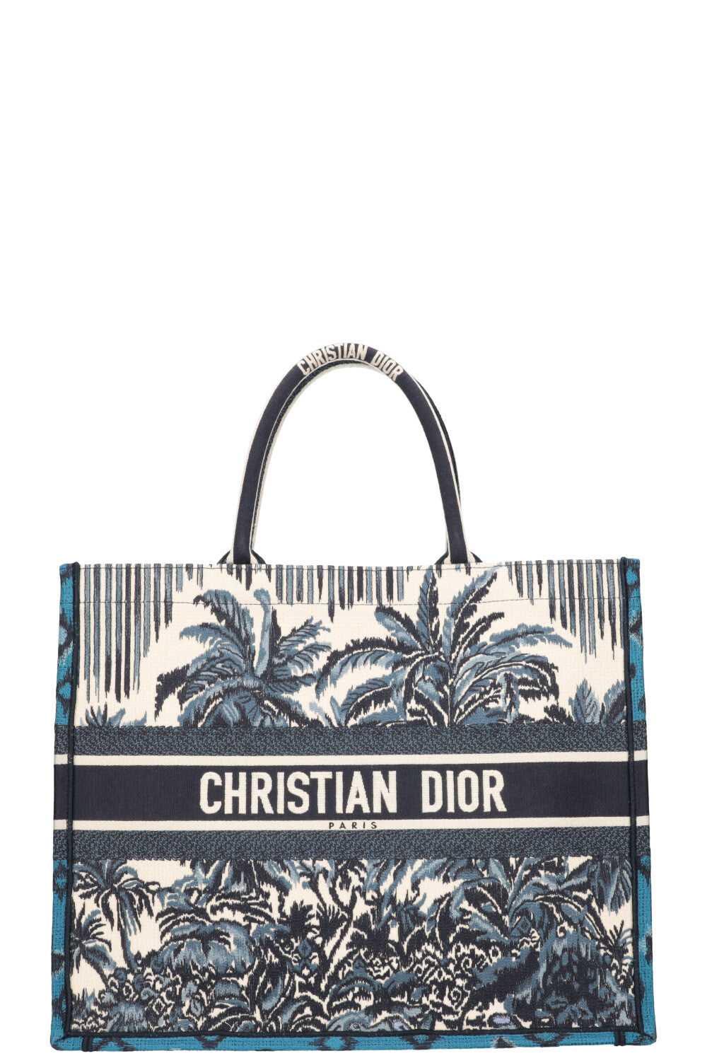 Dior Book Tote Canvas Tote Bag