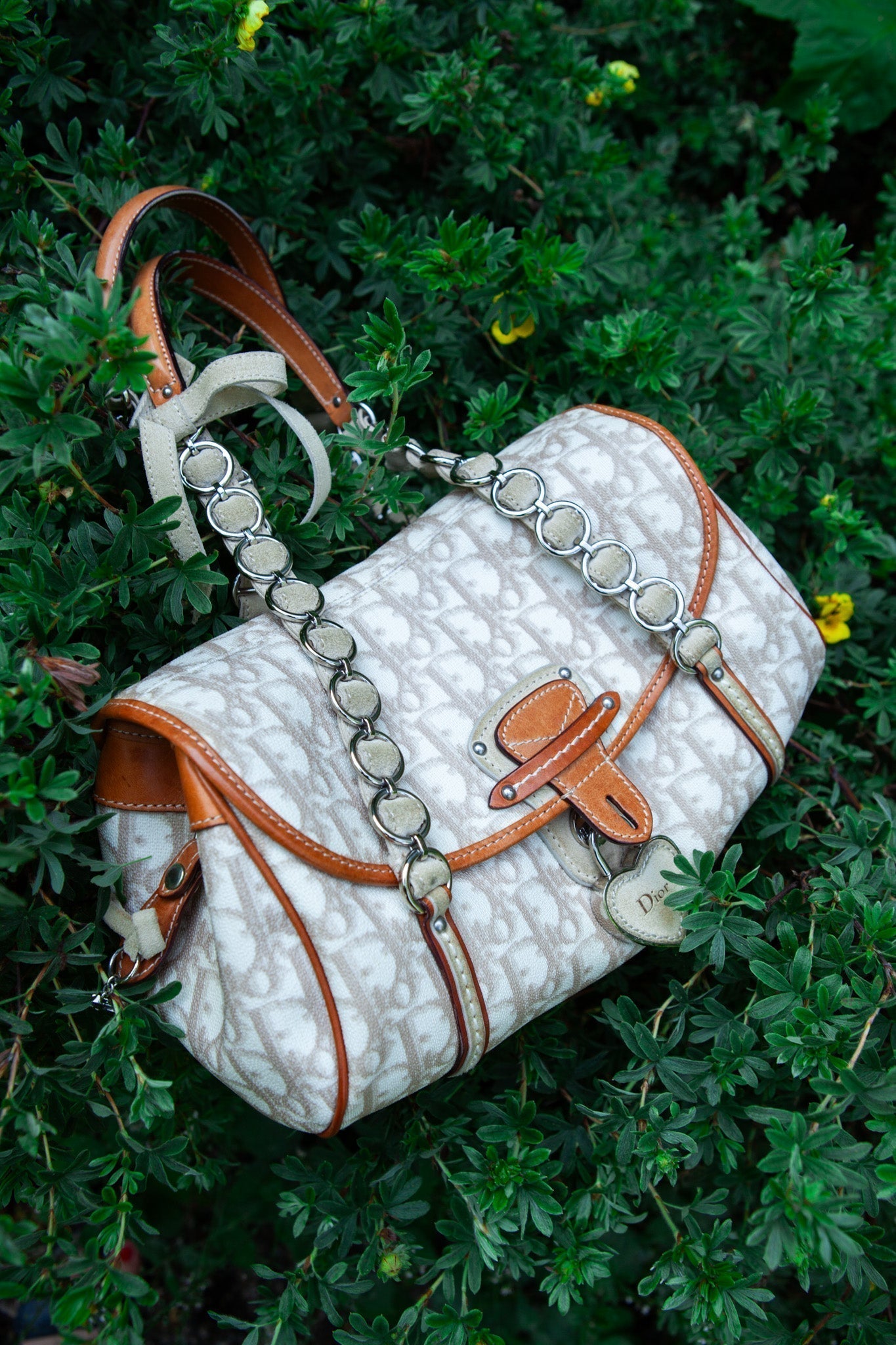 Dior Designer Shoulder Bag