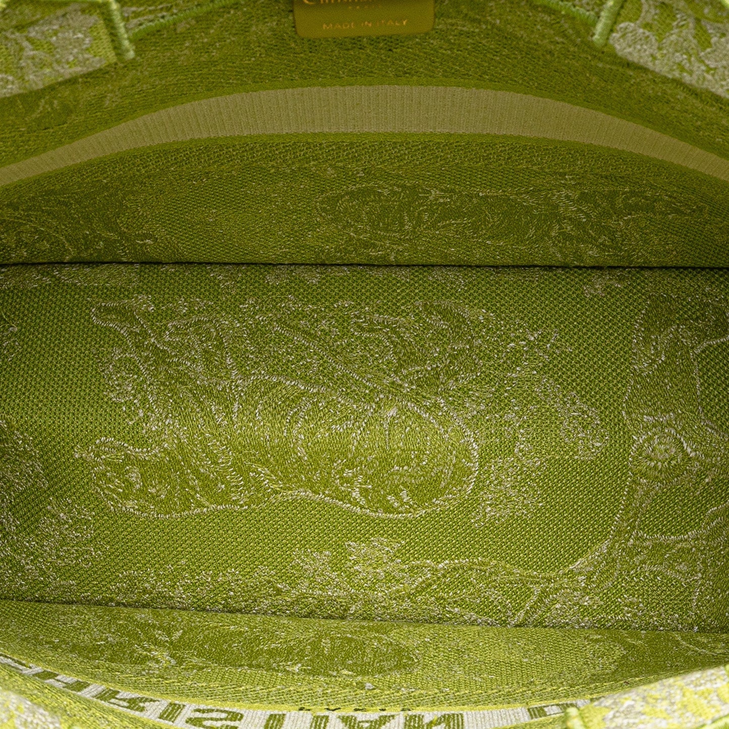 Green Dior Medium Canvas Embroidered Dioriviera Toile De Jouy Book Tote