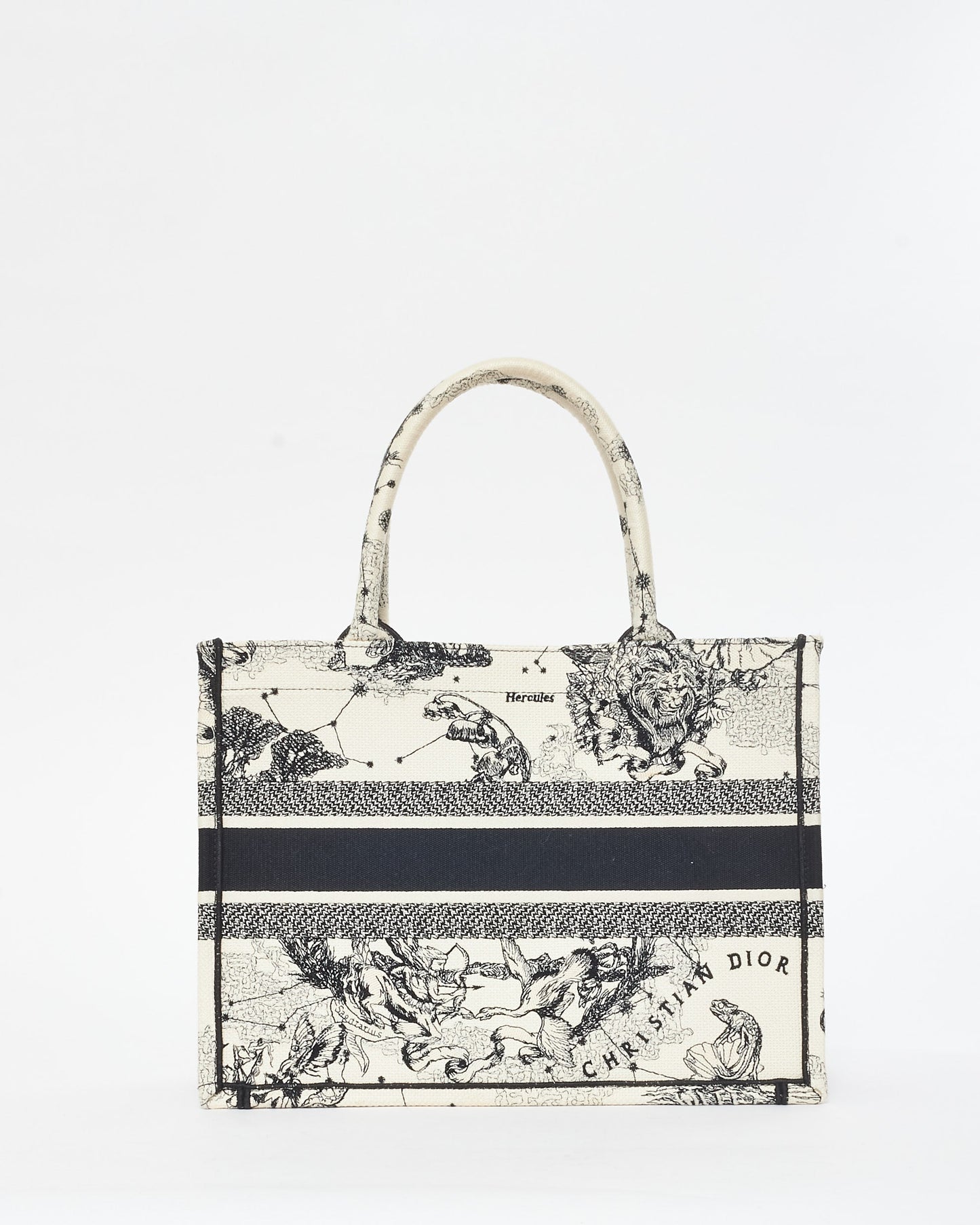 Dior Book Tote Canvas Tote Bag
