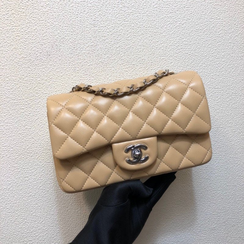 Chanel Luxury Handbag Style 187