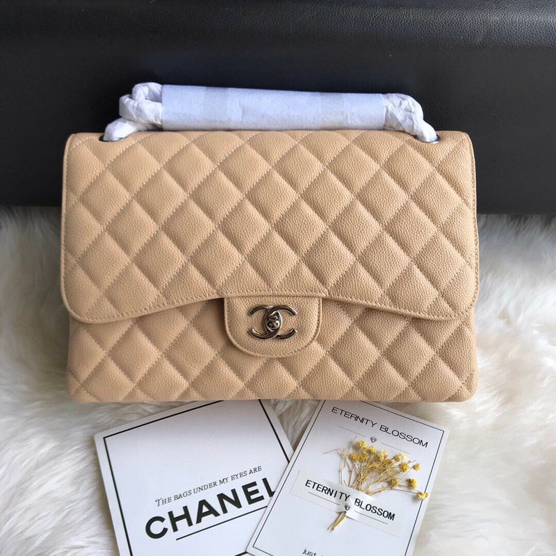 Chanel Luxury Handbag Style 163