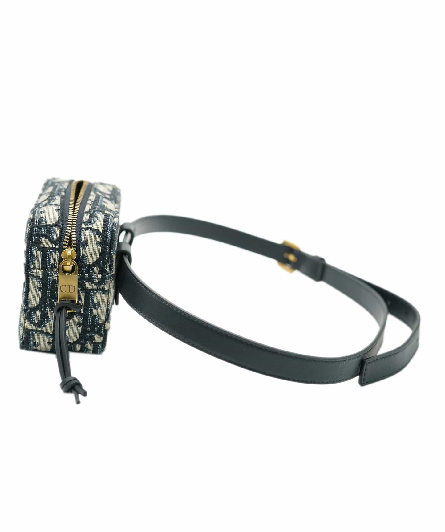 Dior Lou Chain Leather Clutch Bag