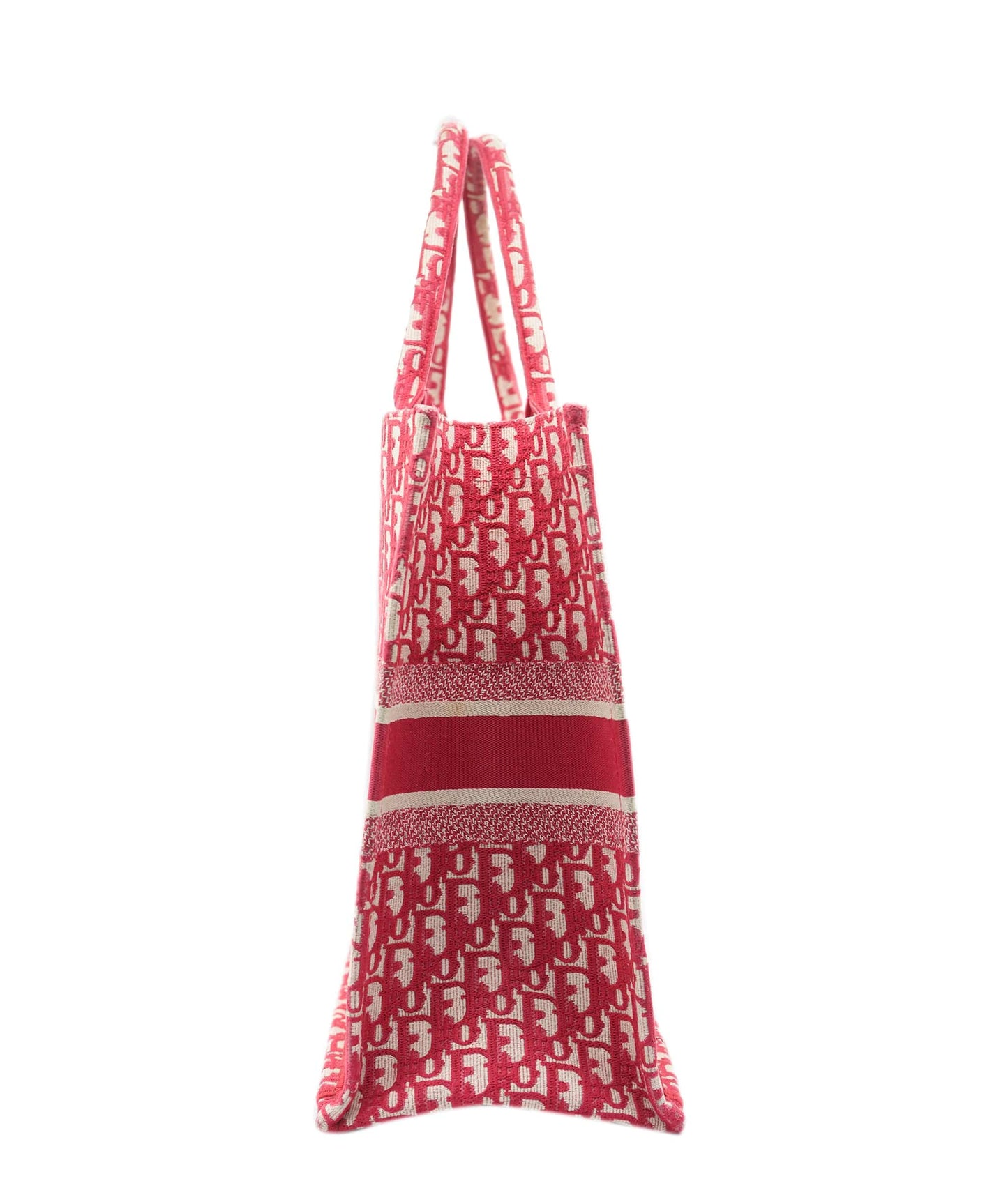 Dior Book Tote Lou Tote Bag