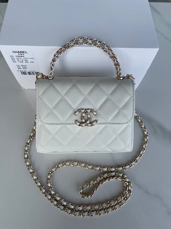 Chanel Luxury Handbag Style 113