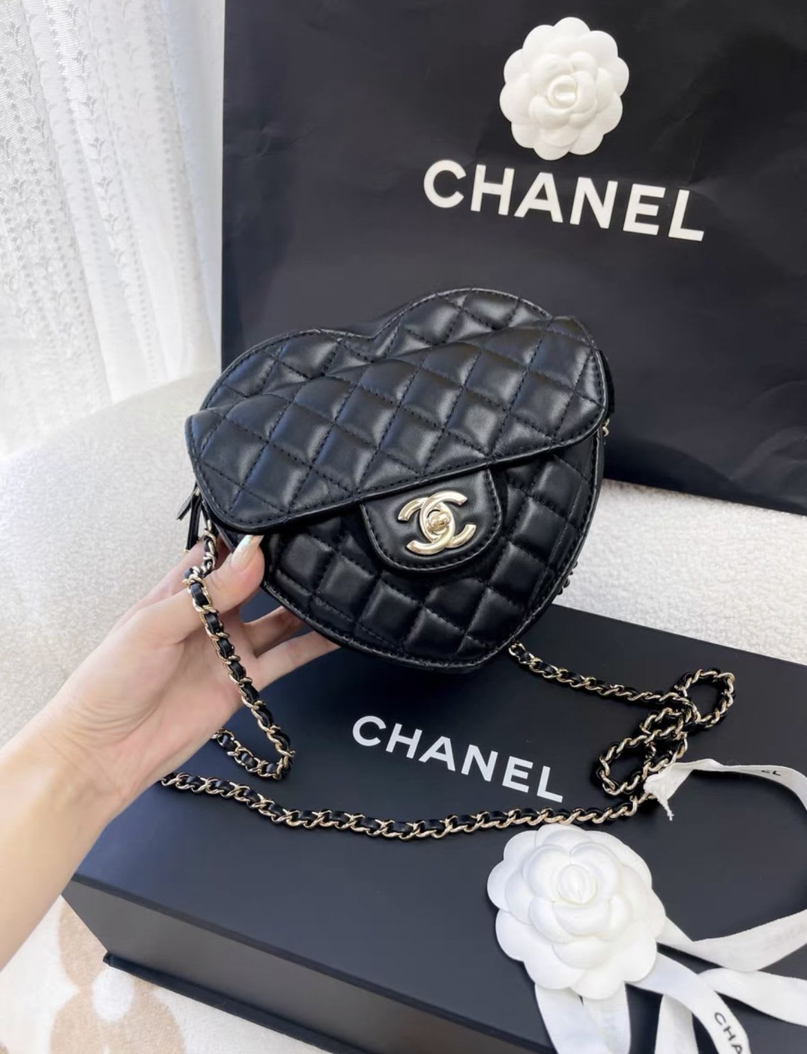 Chanel Luxury Leather Black Handbag Style 16
