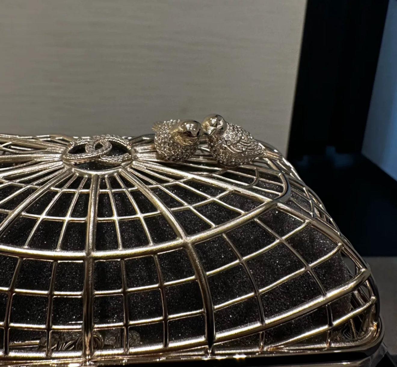 Chanel 25S Birdcage Evening Bag