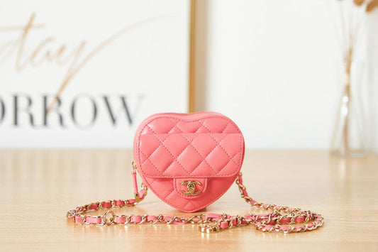 Chanel Luxury Handbag Style 445