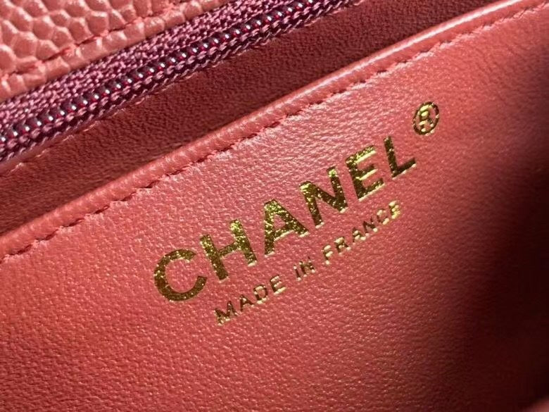 Chanel Luxury Handbag Style 282