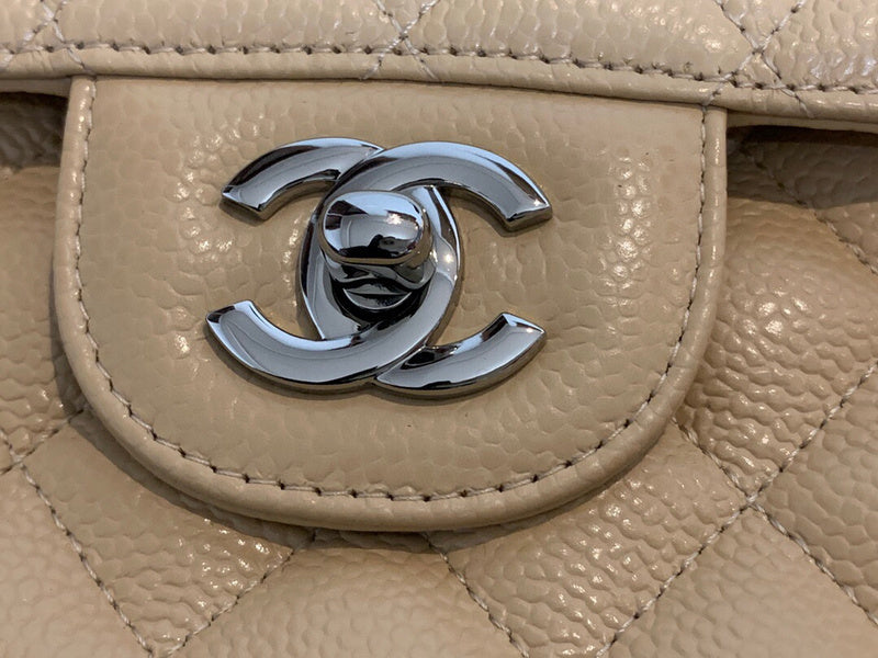 Chanel Luxury Handbag Style 124