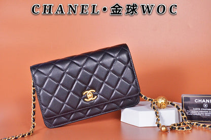 Chanel Luxury Handbag Style 177