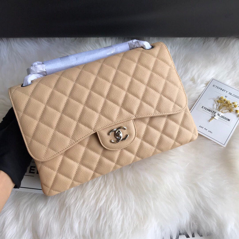 Chanel Luxury Handbag Style 163