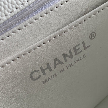 Chanel Luxury Handbag Style 273
