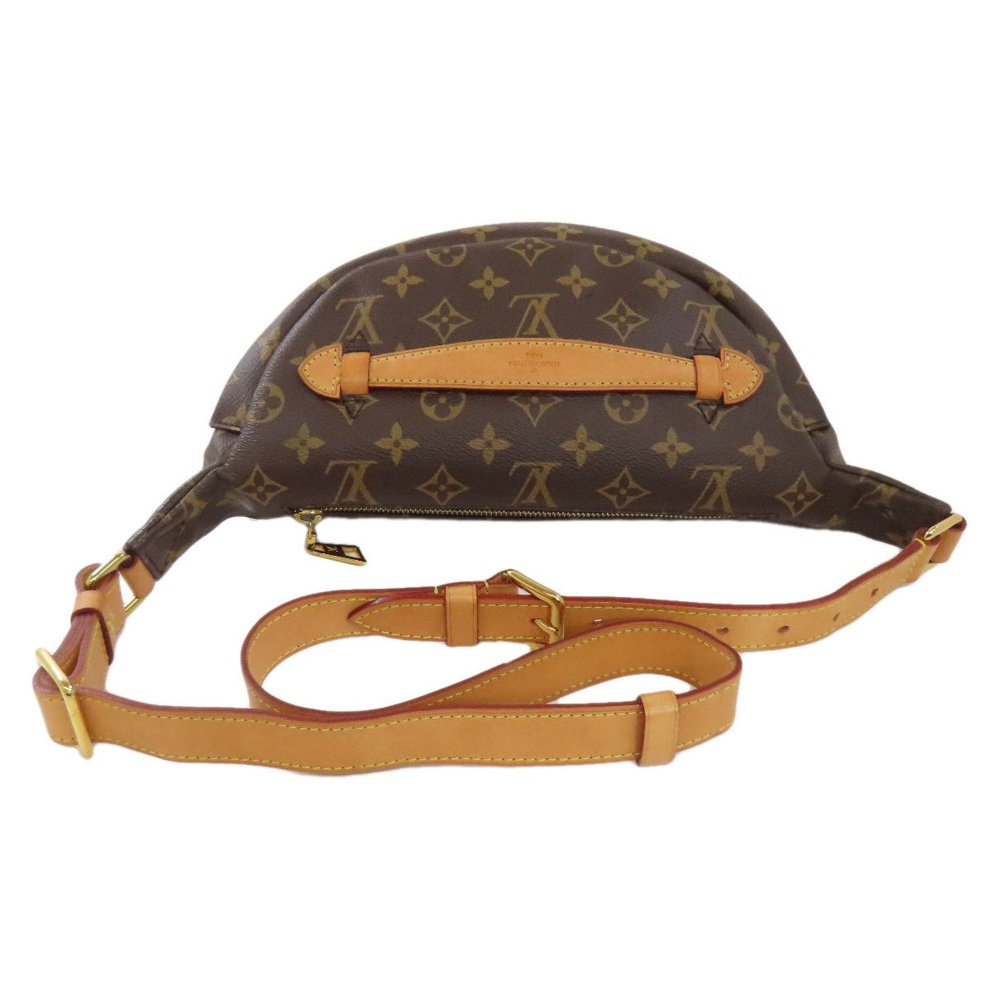 Louis Vuitton Bum Bag / Sac Ceinture