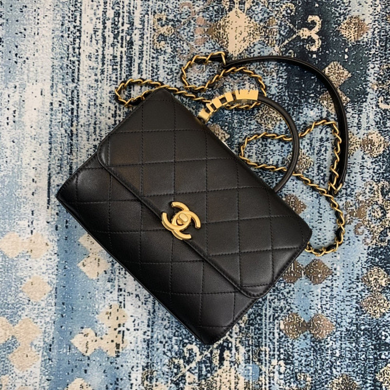 Chanel Luxury Handbag Style 499