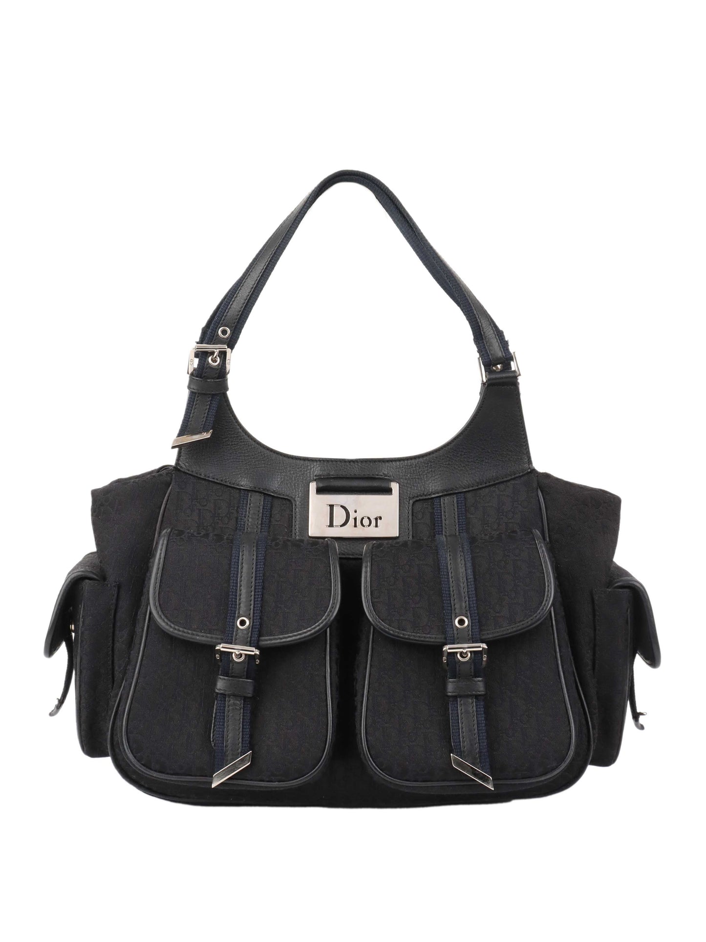 Dior Luxury Canvas Handbag