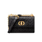 Dior Twist Chain Leather Handbag