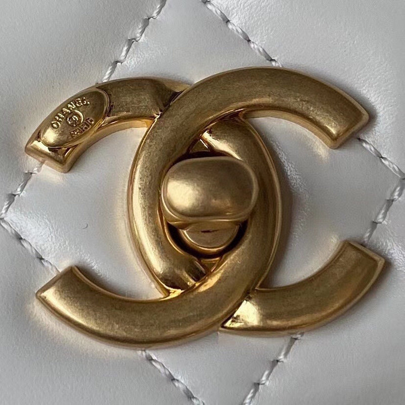 Chanel Luxury Handbag Style 284