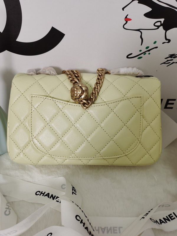 Chanel Luxury Handbag Style 105