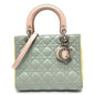 Christian Dior Other Leather Handbag