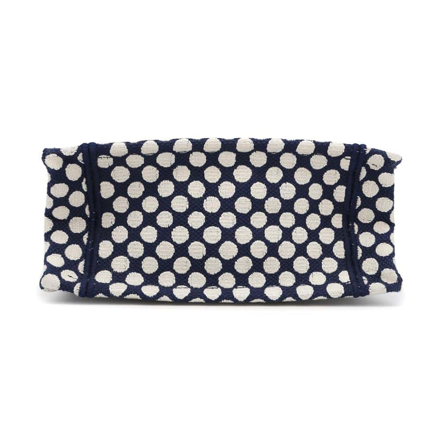 Christian Dior Navy White Canvas Handbag Canvas