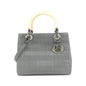Christian Dior Beige Gray Canvas Handbag