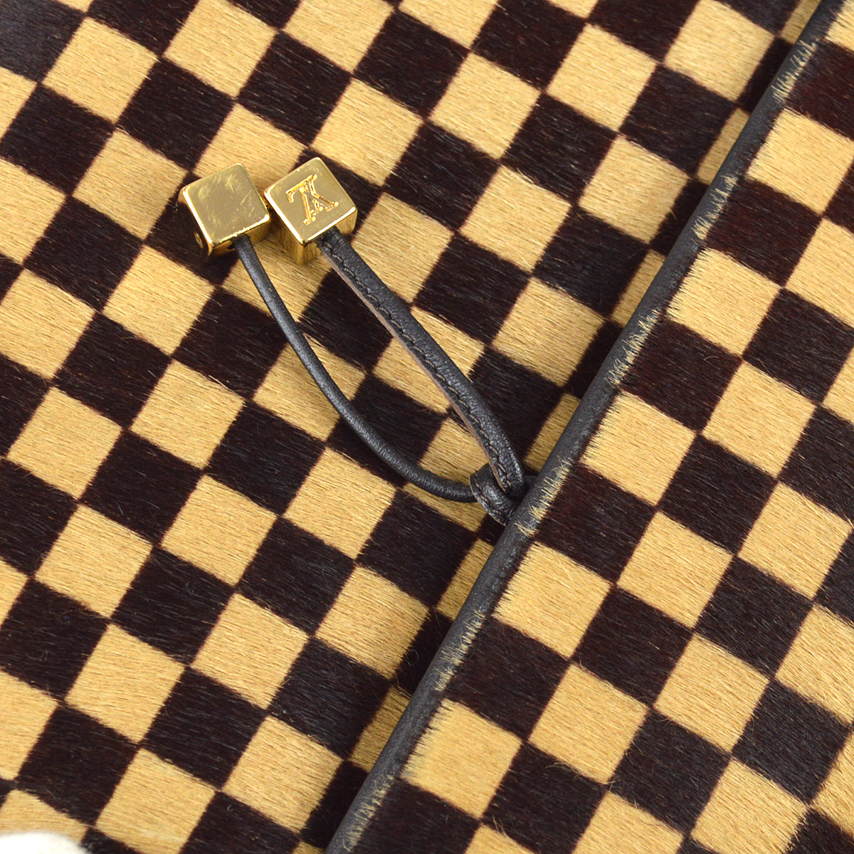 Louis Vuitton 2001 Damier Sauvage Lion M92131