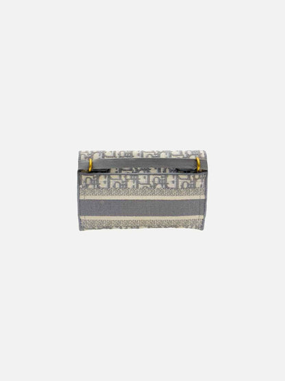 Dior Saddle Grey Oblique Belt Bag