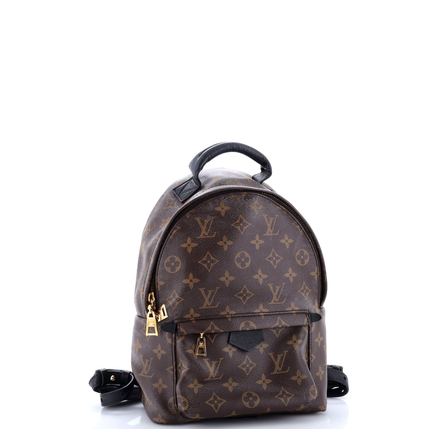 Louis Vuitton Palm Springs Backpack Monogram Canvas PM