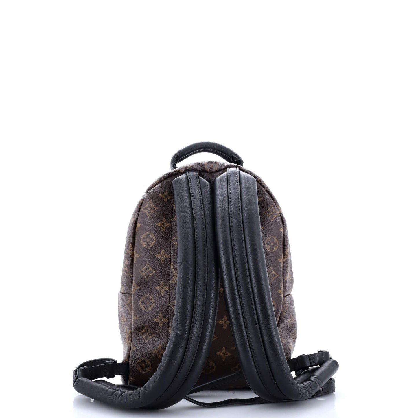 Louis Vuitton Palm Springs Backpack Monogram Canvas PM