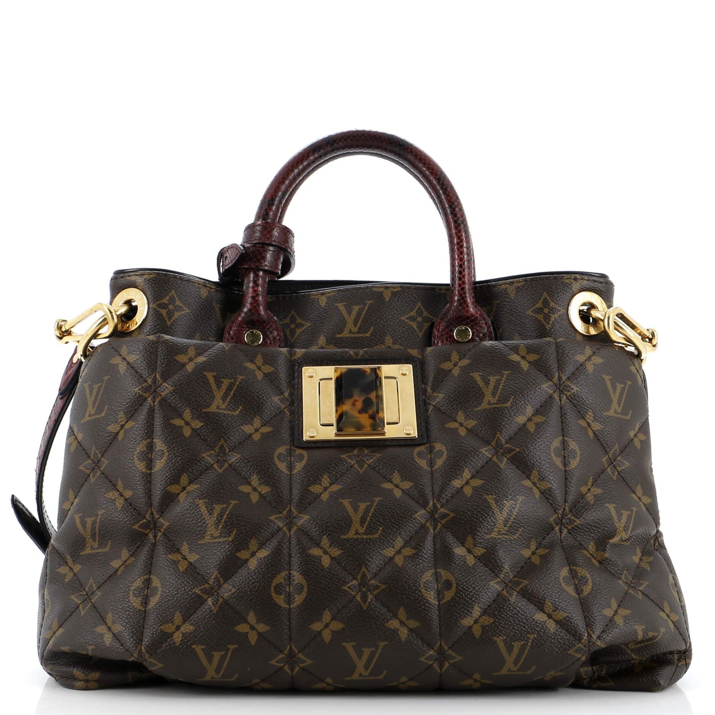 Louis Vuitton Exotique Handbag Monogram Etoile MM