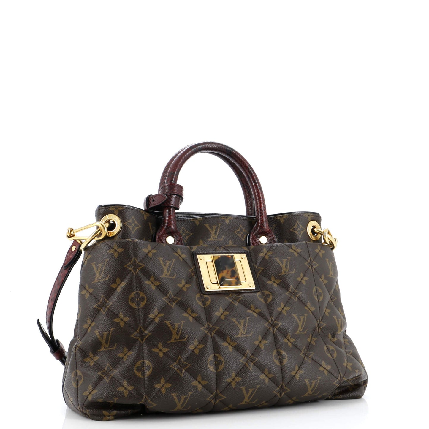 Louis Vuitton Exotique Handbag Monogram Etoile MM