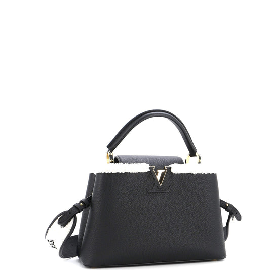 Louis Vuitton Capucines Bag Leather with Shearling BB