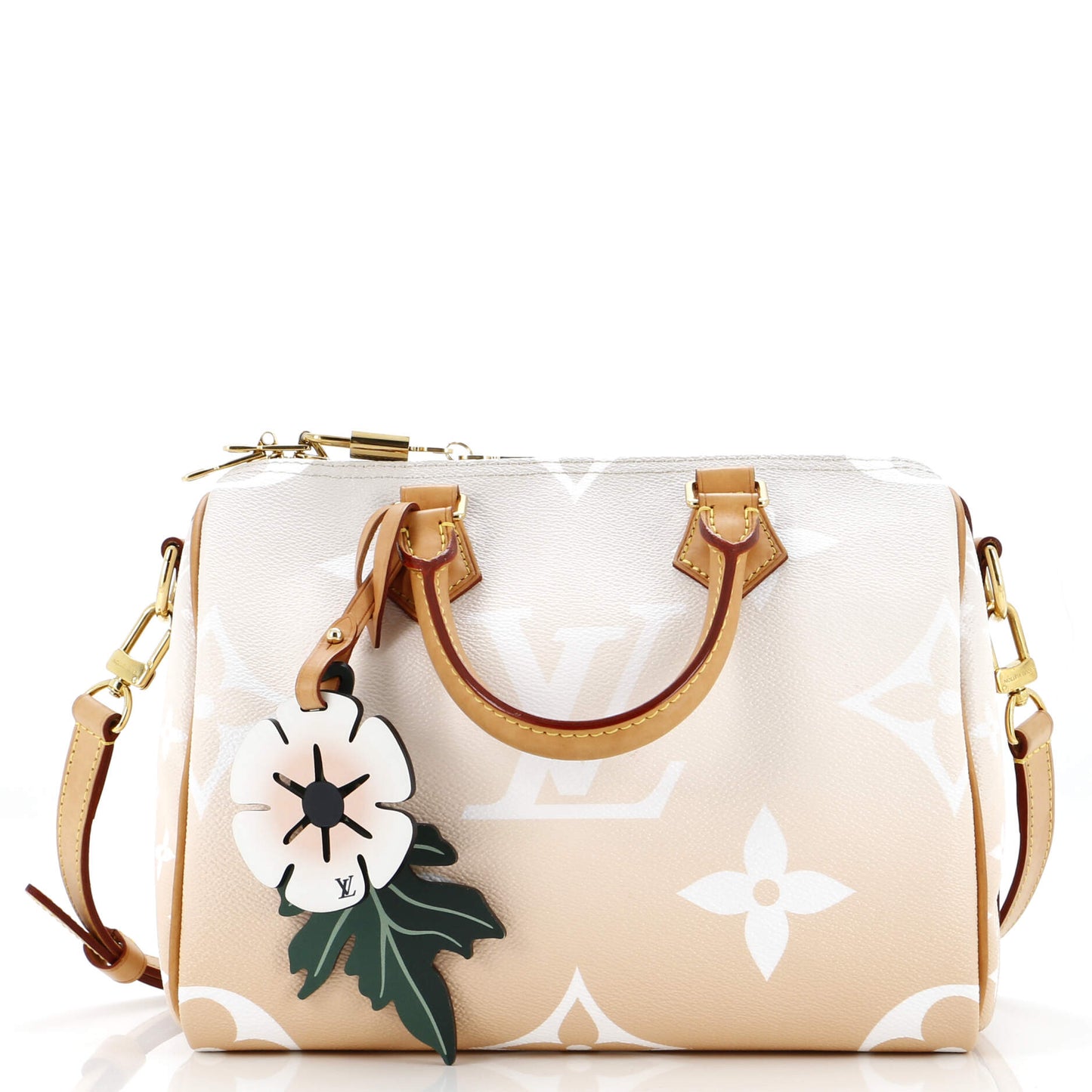 Louis Vuitton Bandouliere Bag By The Pool Monogram Giant 25