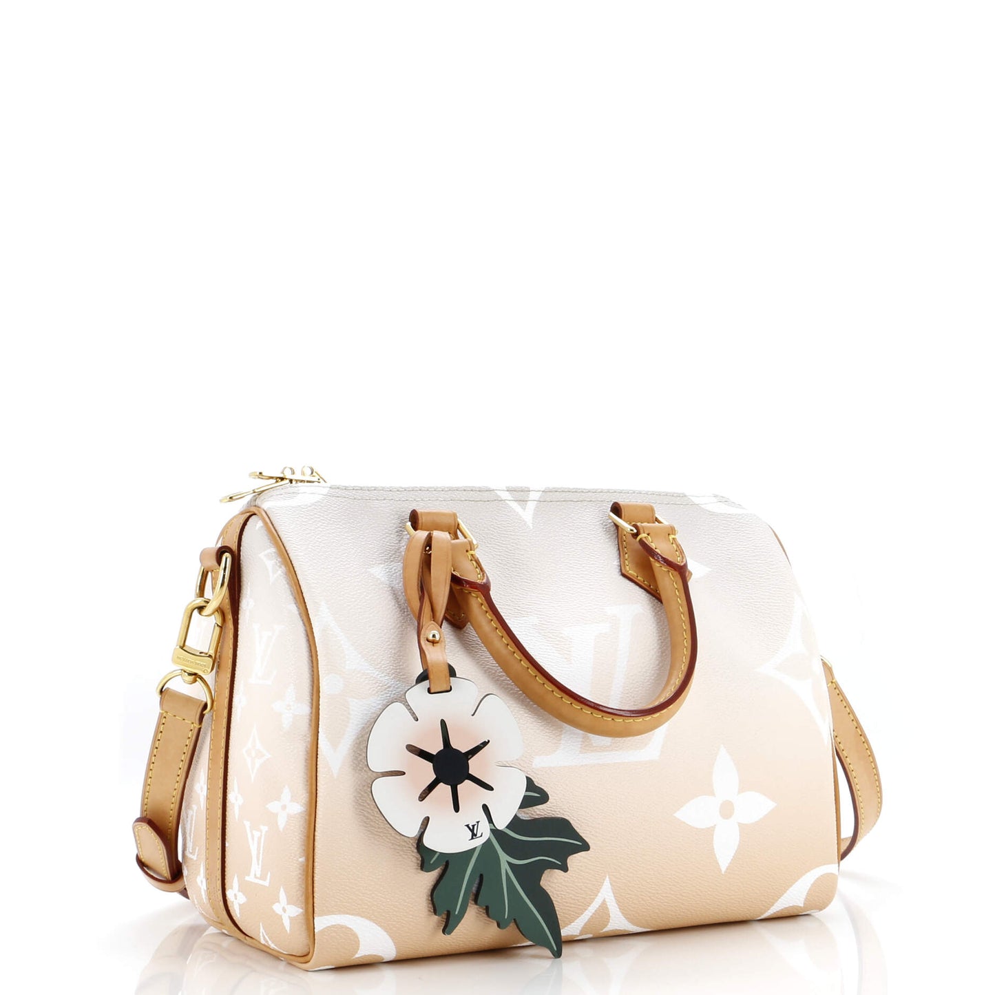 Louis Vuitton Bandouliere Bag By The Pool Monogram Giant 25