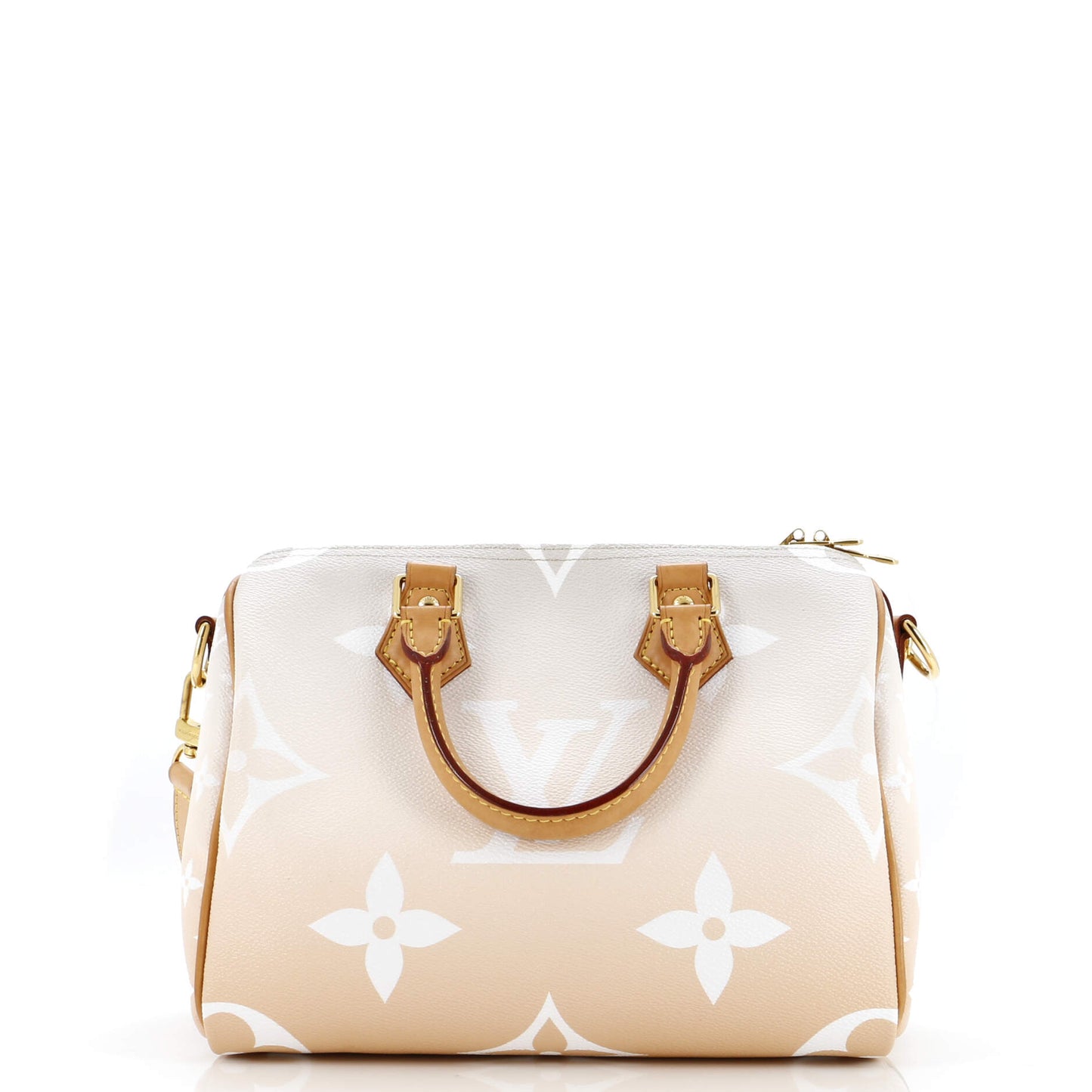 Louis Vuitton Bandouliere Bag By The Pool Monogram Giant 25