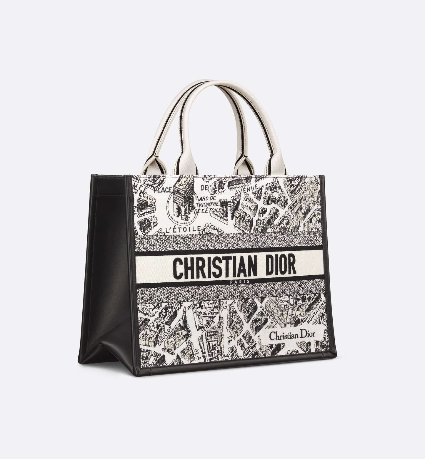 Dior Book Tote Leather Mini Tote Bag