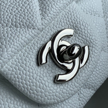 Chanel Luxury Handbag Style 273