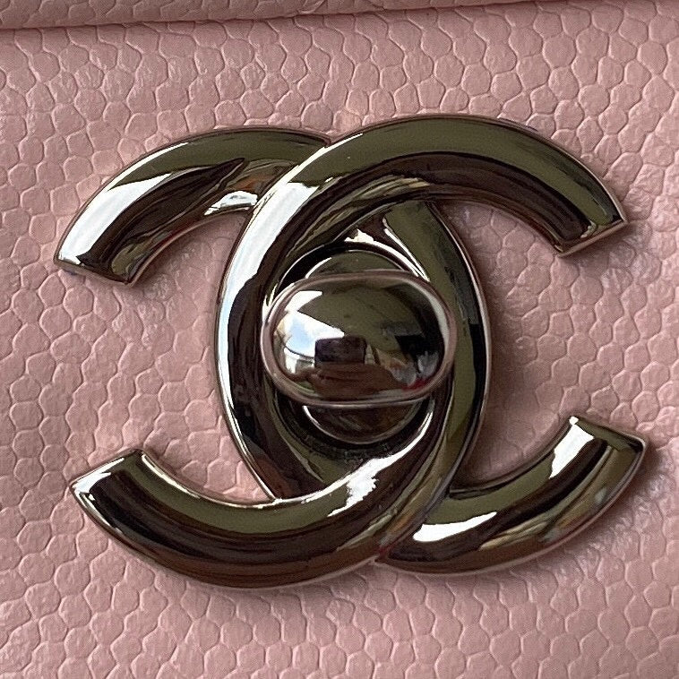 Chanel Luxury Handbag Style 192