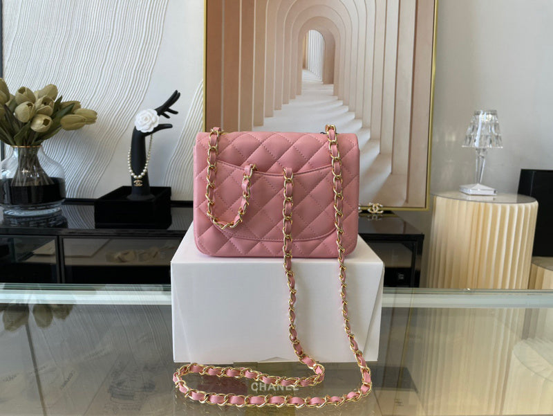 Chanel Luxury Handbag Style 455