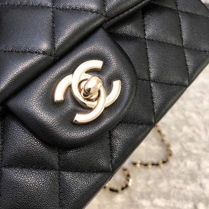 Chanel Luxury Handbag Style 565