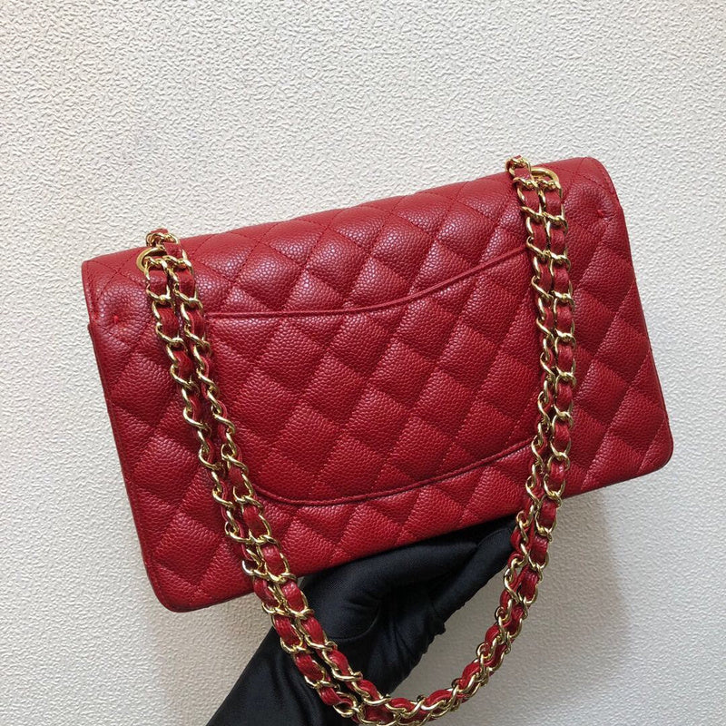 Chanel Luxury Handbag Style 117