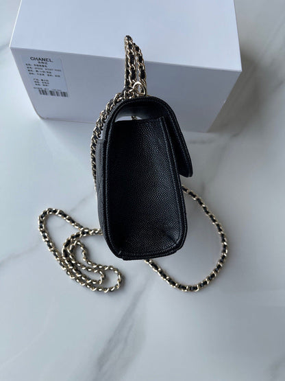 Chanel Luxury Handbag Style 108